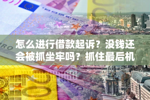 武汉怎么进行借款起诉？没钱还会被抓坐牢吗？抓住最后机会！