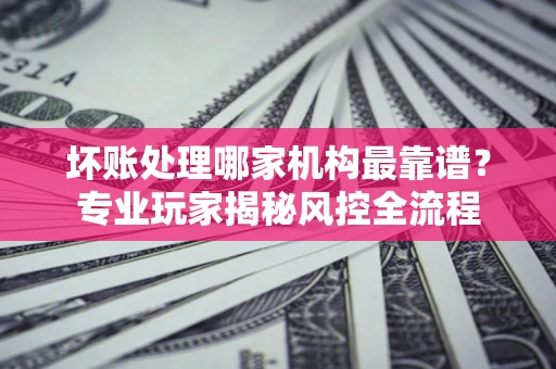 武汉坏账处理哪家机构最靠谱？专业玩家揭秘风控全流程