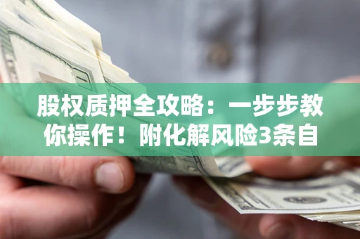 武汉股权质押全攻略：一步步教你操作！附化解风险3条自救法则