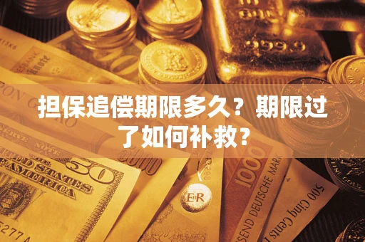 武汉担保追偿期限多久？期限过了如何补救？
