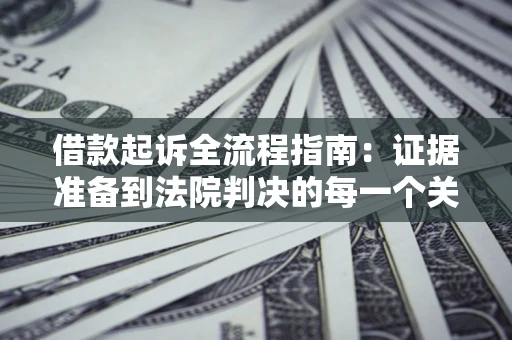 武汉借款起诉全流程指南：证据准备到法院判决的每一个关键步骤