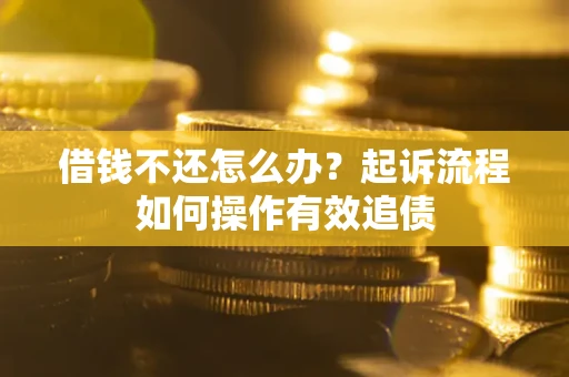 武汉借钱不还怎么办？起诉流程如何操作有效追债