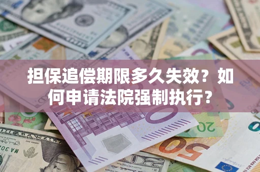 武汉担保追偿期限多久失效？如何申请法院强制执行？