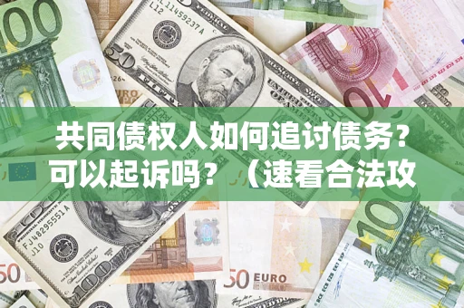 武汉共同债权人如何追讨债务？可以起诉吗？（速看合法攻略）