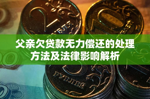 武汉父亲欠贷款无力偿还的处理方法及法律影响解析