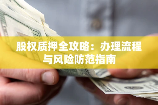 武汉股权质押全攻略：办理流程与风险防范指南