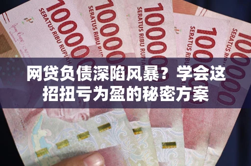 武汉网贷负债深陷风暴？学会这招扭亏为盈的秘密方案